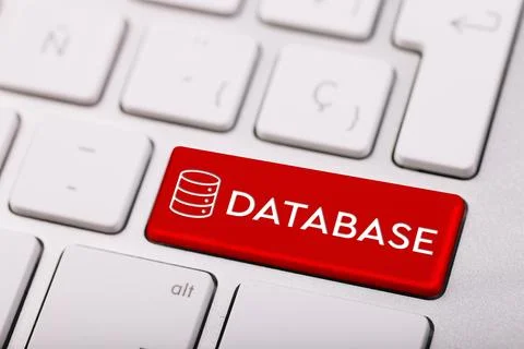 DATABASE word on a keyboard. Programming and IT concept. Stock Illustration