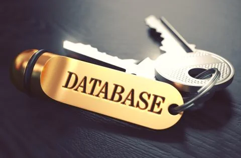 Database written on Golden Keyring イラスト素材