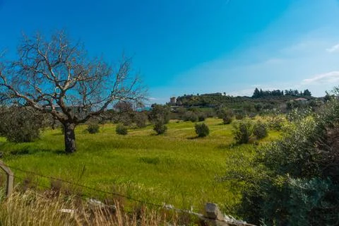 DATCA, MUGLA, TURKEY: The old Turkish windmill Datca Vineyard on a sunny day, Stock Photos