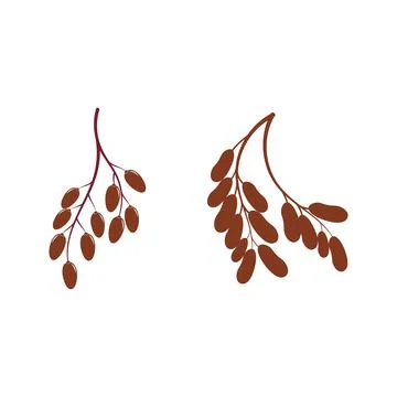 Date bean icon vector illustration Stock Illustration