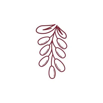 Date bean icon vector illustration イラスト素材