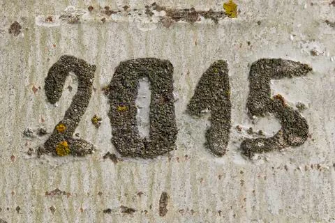 Date engraved 2015 in a Tree 스톡 사진