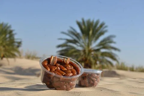 Date Fruit Containers in Desert Oasis Stock Photos