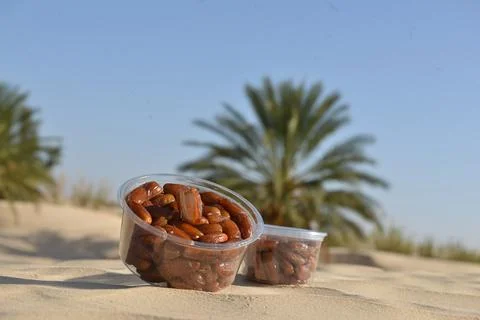Date Fruit Containers in Desert Oasis 库存照片