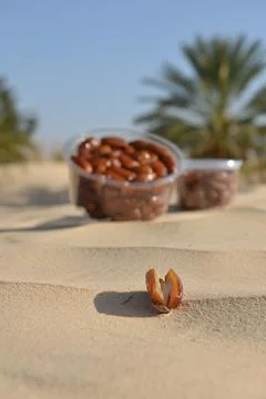 Date Fruit Containers in Desert Oasis Stock Photos