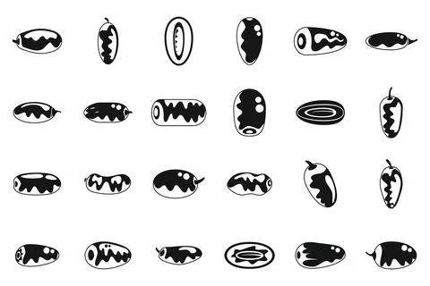 Date fruit icons set simple vector. Leaf food Stock Illustration