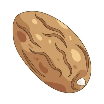 Date fruit Stock Illustration