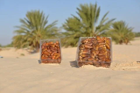 Date Fruit Packaging in Desert Oasis Fotos de archivo