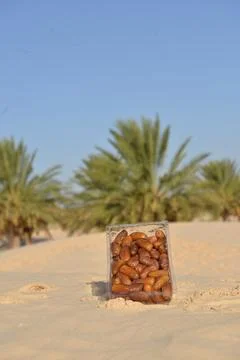 Date Fruit Packaging in Desert Oasis Stock Photos