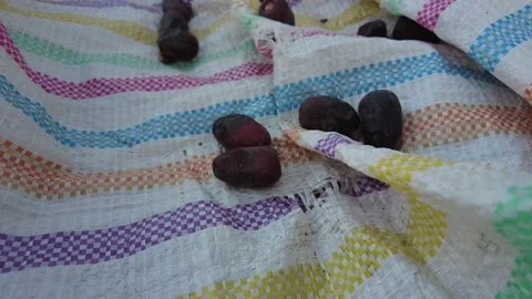 Date fruit on a sack 動画素材 159578046