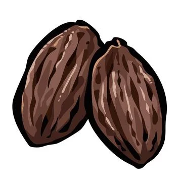 Date fruit vector art illustration. Stock Illustration