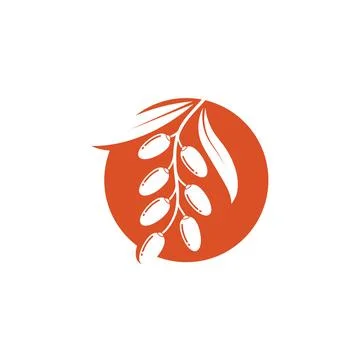 Date fruit vector illustration design Ilustración de archivo