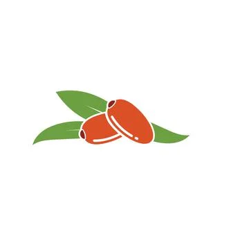 Date fruit vector illustration design Stock Illustration