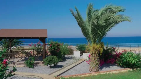 Date palm against the background of the blue sea and the inner garden Vidéo 130719537