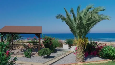 Date palm against the background of the blue sea and the inner garden Stock Footage 130719621