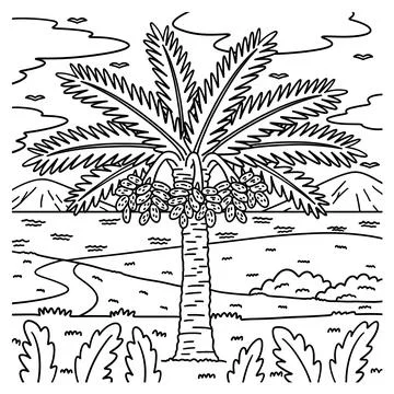 Date Palm Tree Fruit Plant Coloring Page for Kids Stock Illustration