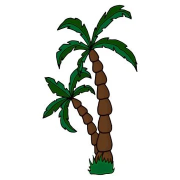 Date palm. Vector hand drawn palm trees, sketch. Stock Illustration