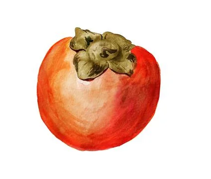 Date-plum Stock Illustration