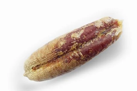 Date seed Foto stock