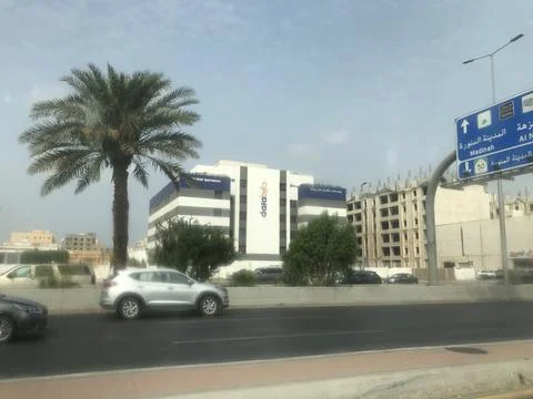 The date tree in the divider Stock Photos