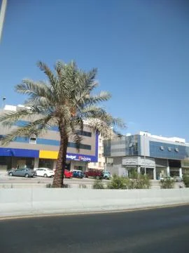 A Date tree front of the building Stock Photos