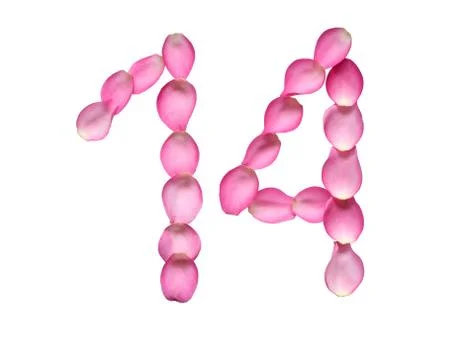 Date of valentine's day Stock Photos