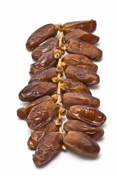 Dates on the branch. Stock Photos