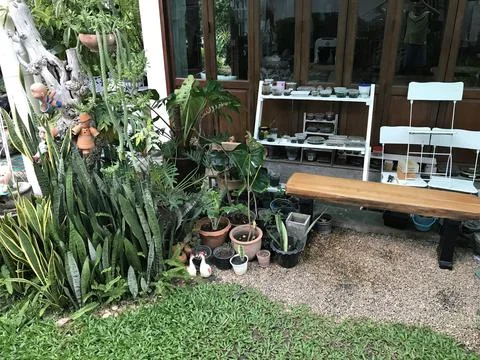 Dates corner Stock Photos