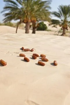 Dates on Desert Sand in Oasis Stock Photos