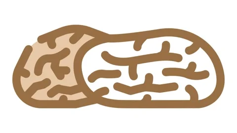 Dates dried fruit color icon animation Stock Footage 327270260