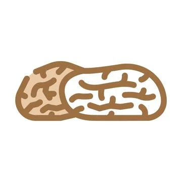 Dates dried fruit color icon vector illustration Stock Illustration