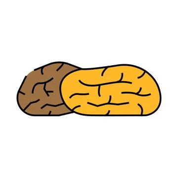 Dates dried fruit icon color illustration Stock Illustration