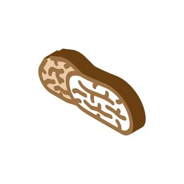 Dates dried fruit isometric icon vector illustration Stock Illustration