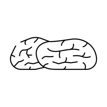 Dates dried fruit line icon vector illustration Stock Illustration