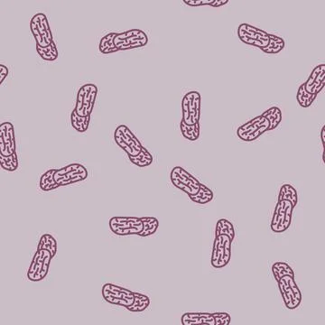 Dates dried fruit line vector seamless pattern Stock Illustration