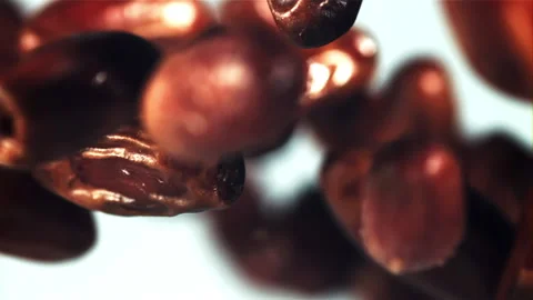 Dates fly up and rotate in flight. Filmed is slow motion 1000 fps. Stock Footage 202140575