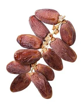 Dates fruit on a branch close-up on a white. Isolated Stock Photos