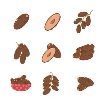 Dates fruit hand drawn style icon. collection of isolated cartoon illustratio Stock Illustration