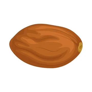 Dates Fruit Illustration Stock Illustration