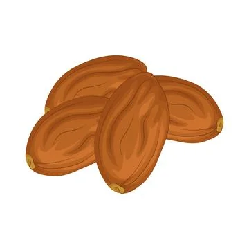 Dates Fruit Illustration Stock Illustration
