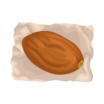 Dates Fruit Illustration Stock Illustration