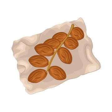 Dates Fruit Illustration Stock Illustration