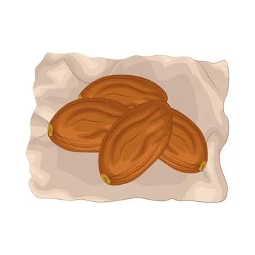 Dates Fruit Illustration Stock Illustration