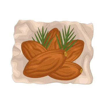 Dates Fruit Illustration Stock Illustration