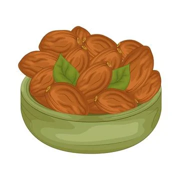 Dates Fruit Illustration Stock Illustration