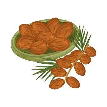 Dates Fruit Illustration Stock Illustration