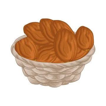 Dates Fruit Illustration Stock Illustration