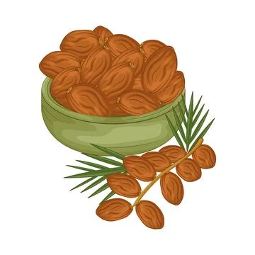 Dates Fruit Illustration Stock Illustration