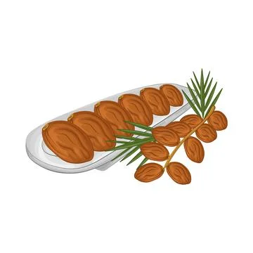 Dates Fruit Illustration Stock Illustration