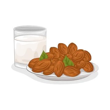 Dates Fruit Illustration Stock Illustration
